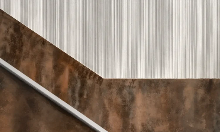 482243359_956175620025802_3229639255077949010_n