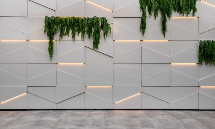 484154352_955515206758510_7208349493639078759_n