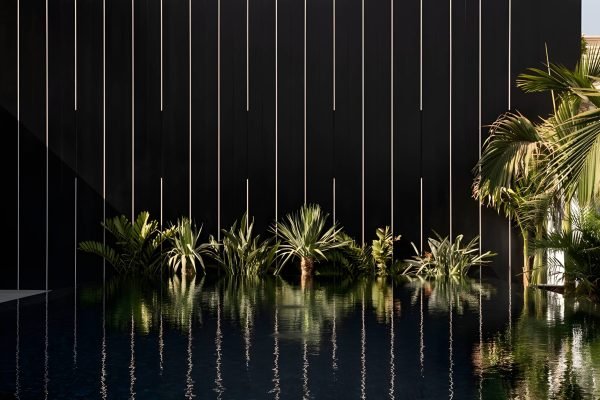 485058738_961418479501516_6298556822685356630_n (1)