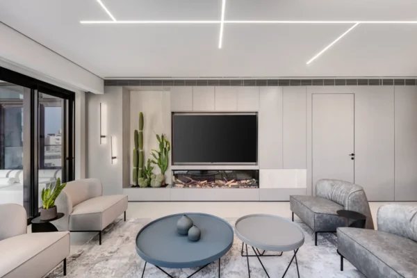 תמונה מרכזית 1