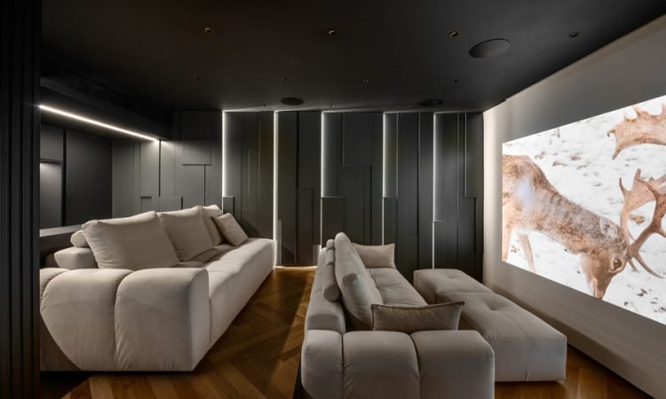 תמונה מרכזית2