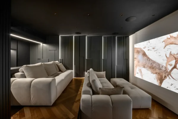 תמונה מרכזית2